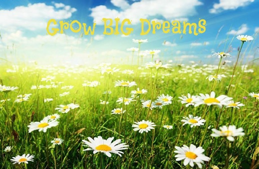 Grow BIG Dreams, Daisy Field
