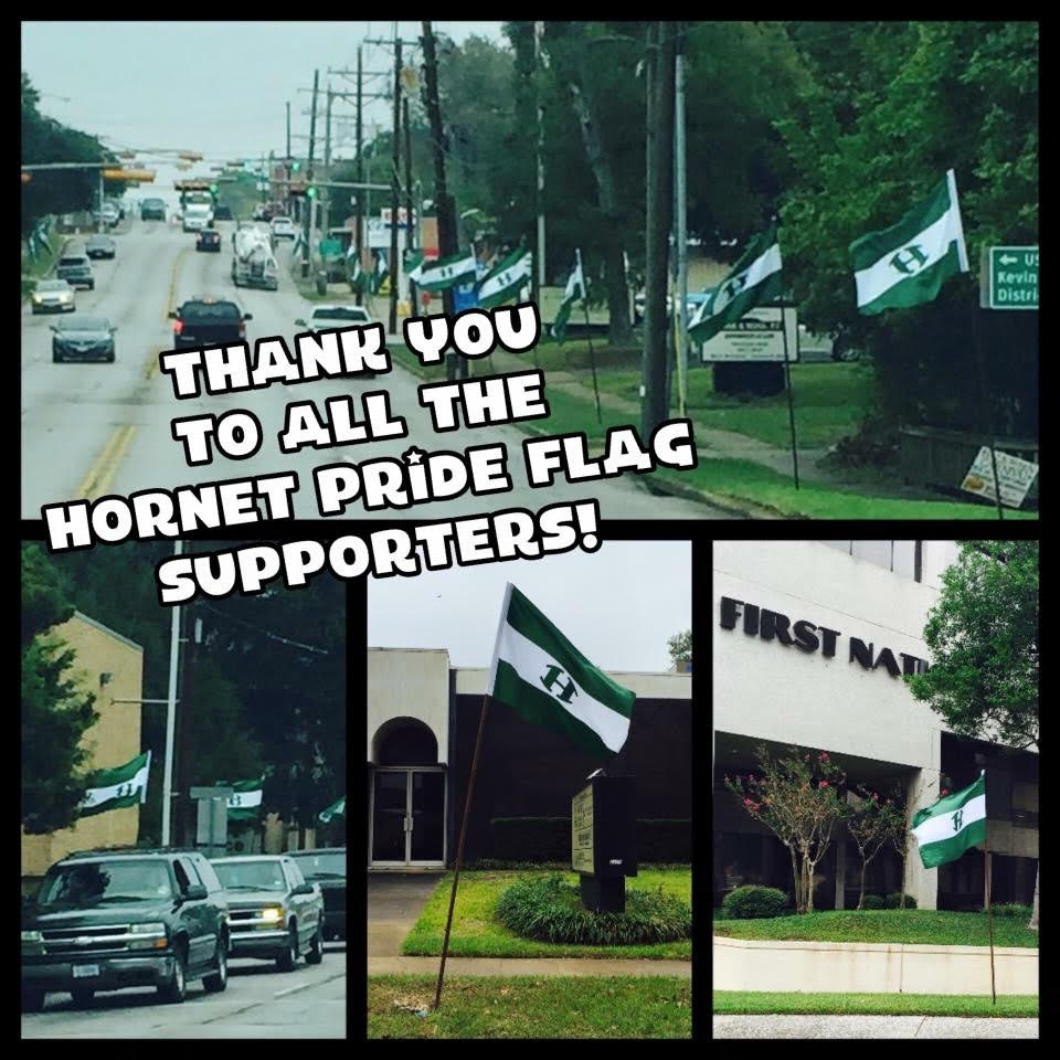 Hornet Flag Project