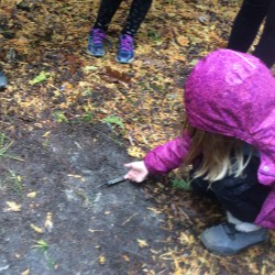 girl looking at leaves