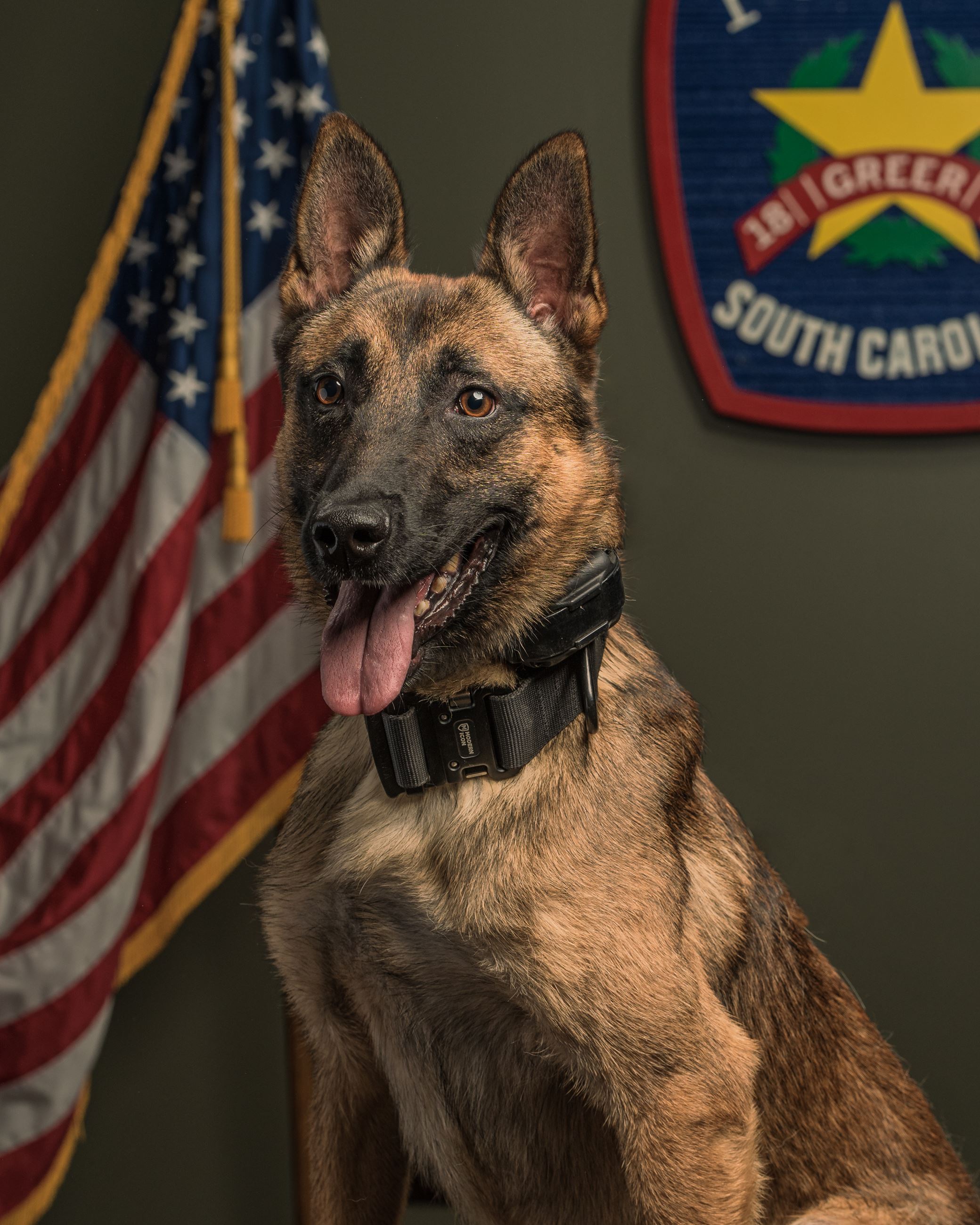 K-9 Officer