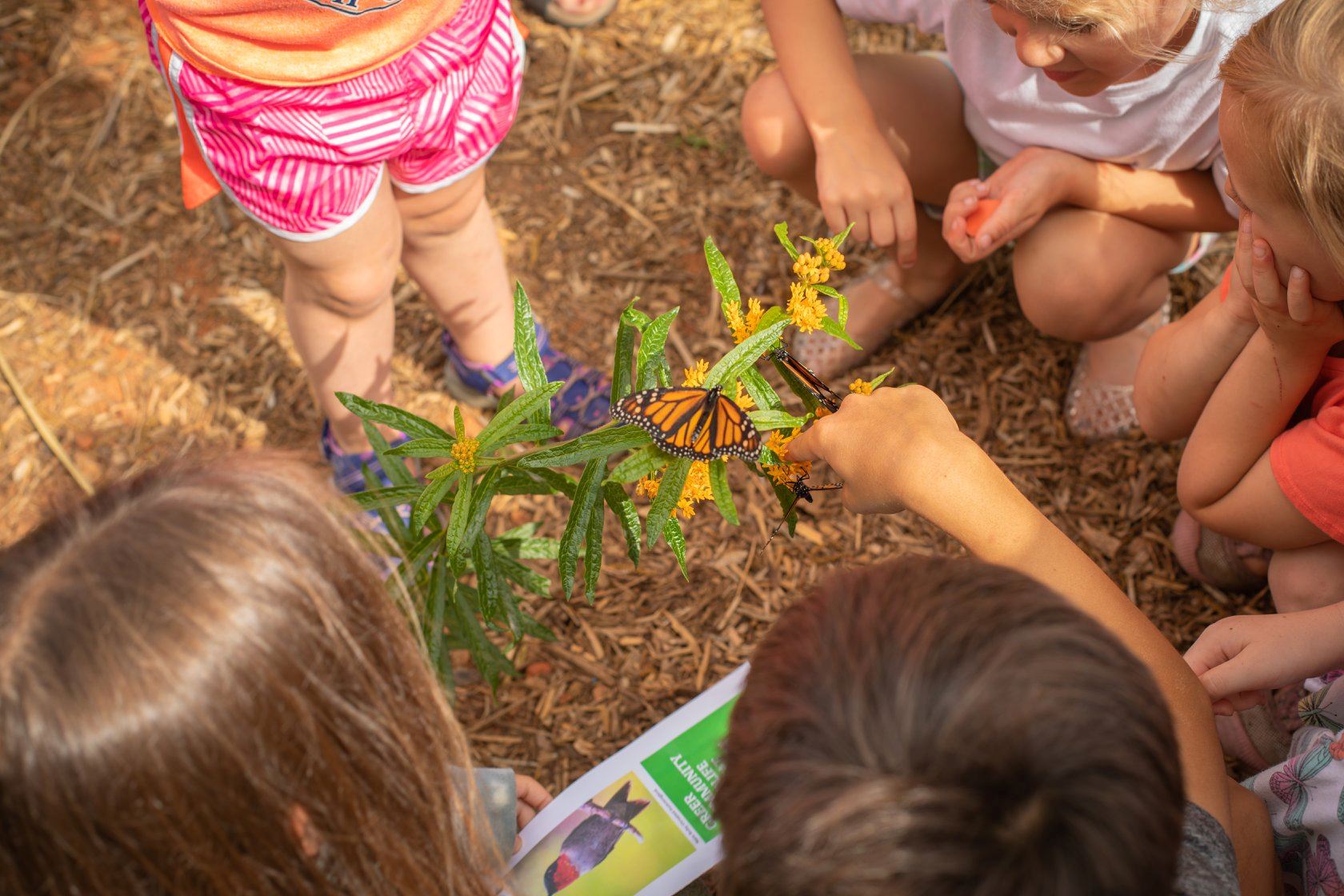 Nature Conservation Programming