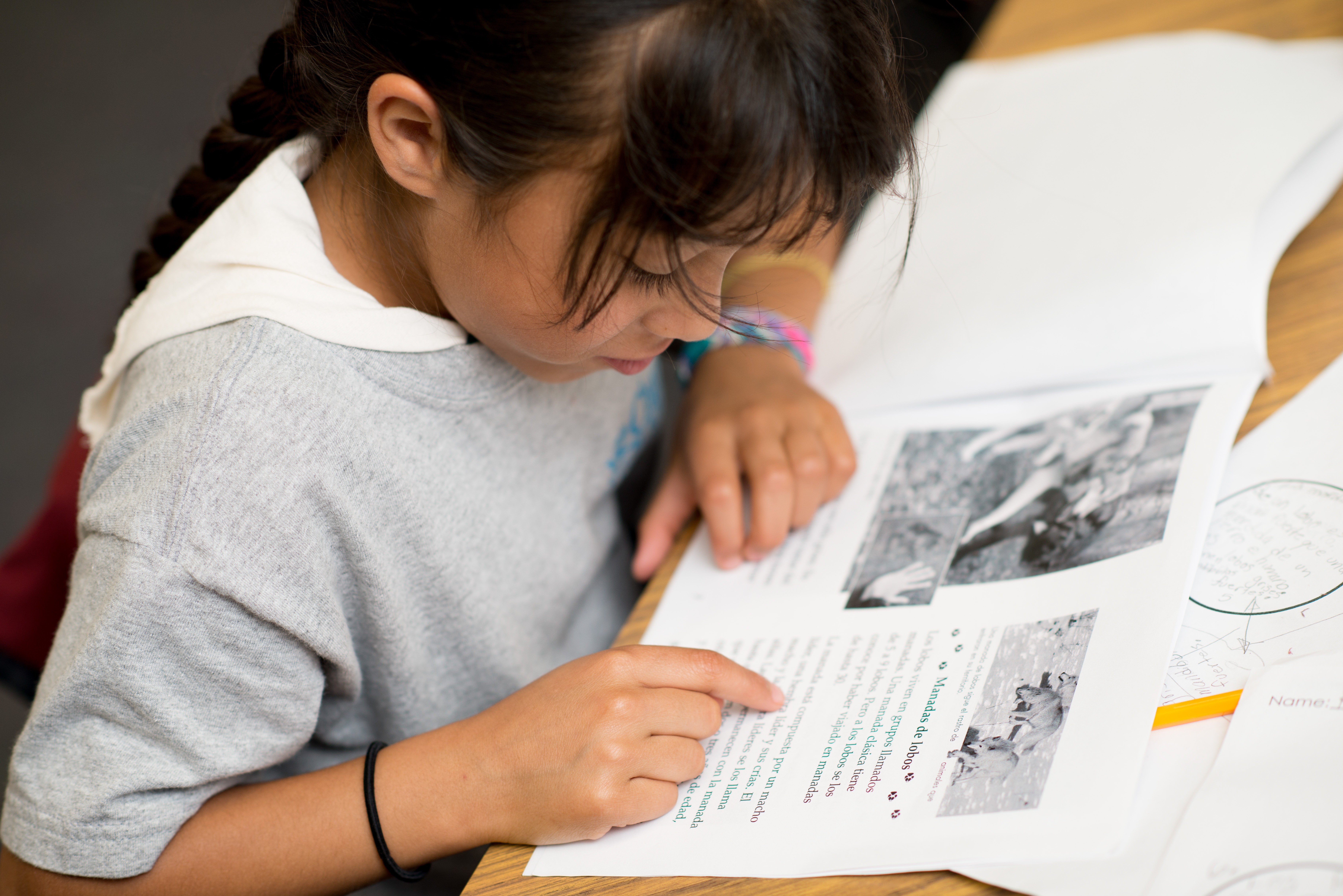 Student reading book