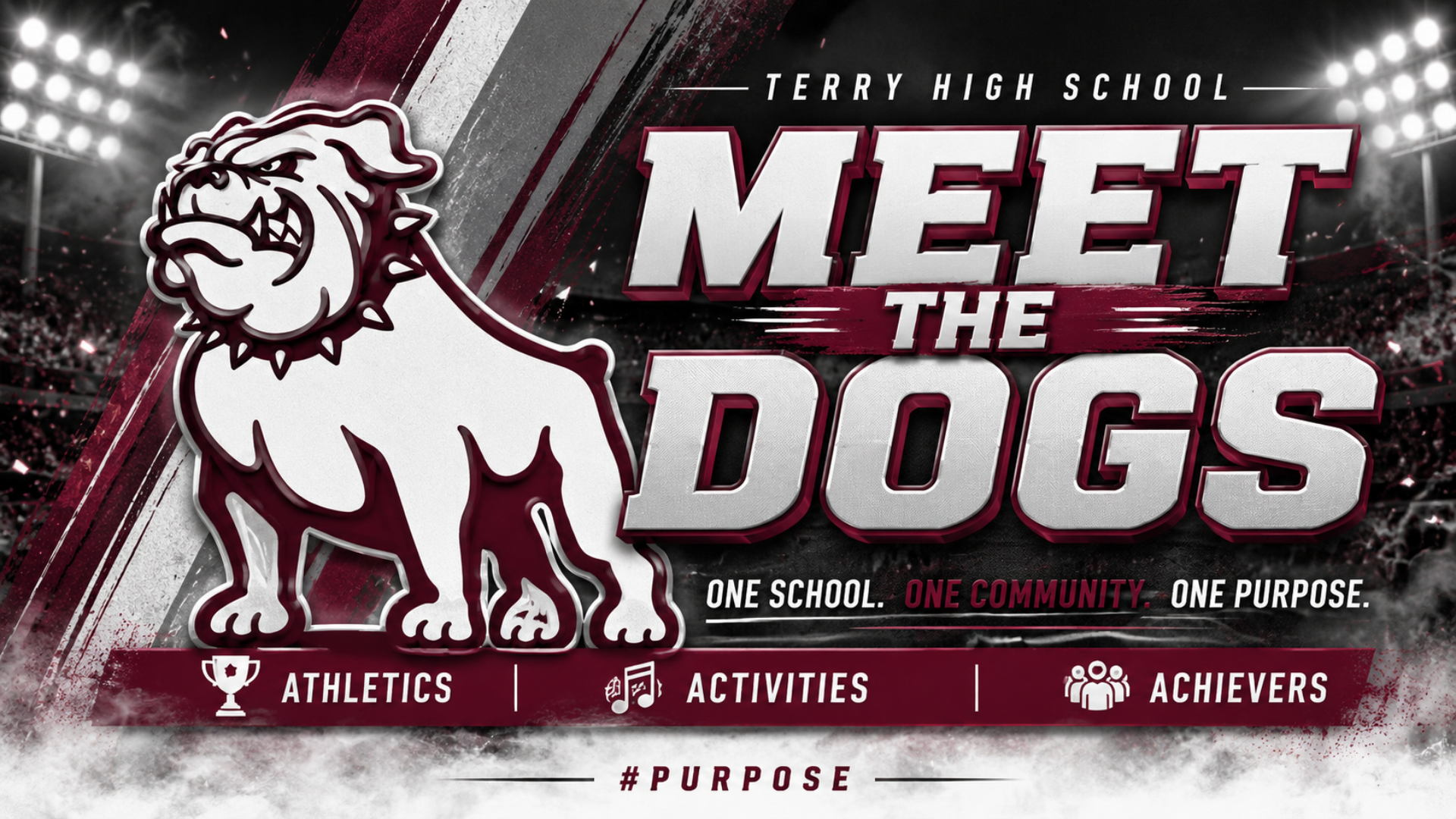 meet the dogs