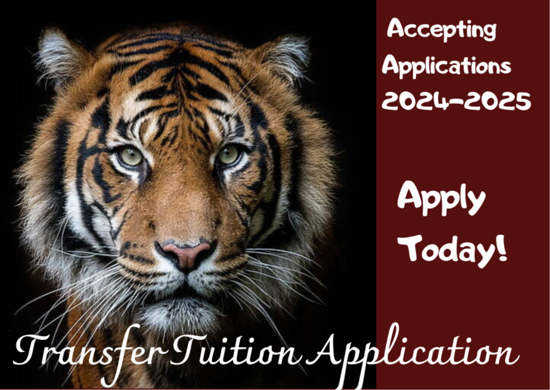 Trasnfer tuition application