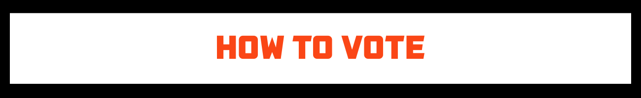 how to vote