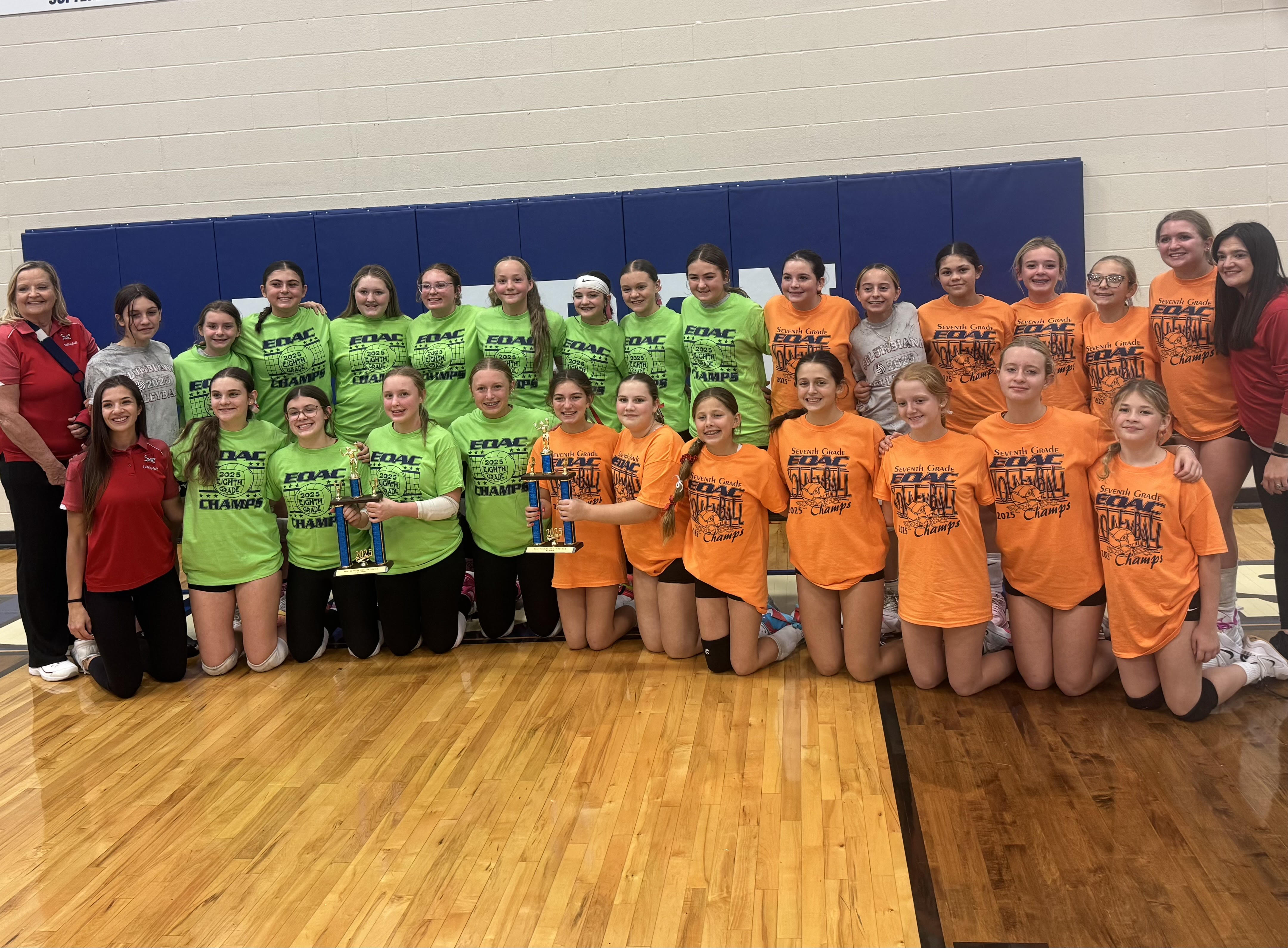 Volleyball Champions