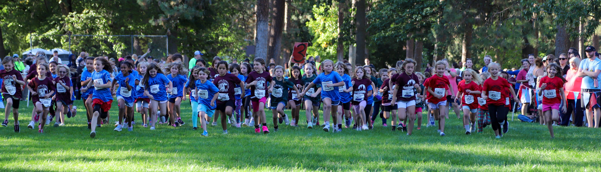 Cross country runners