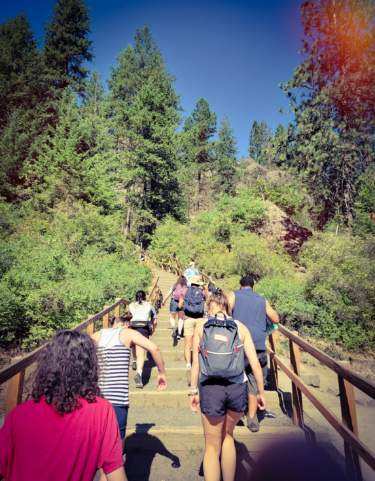 Kids hiking
