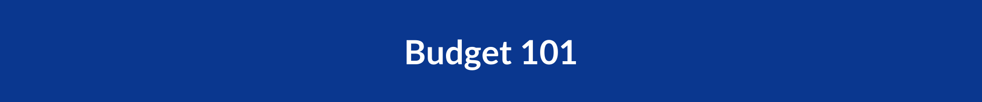 Budget 101