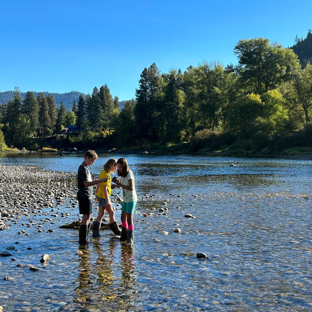 Three students standing in river looking at something in their hands