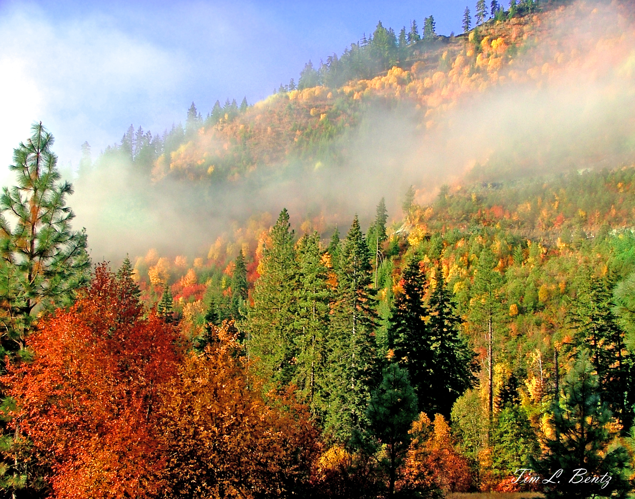 Fall