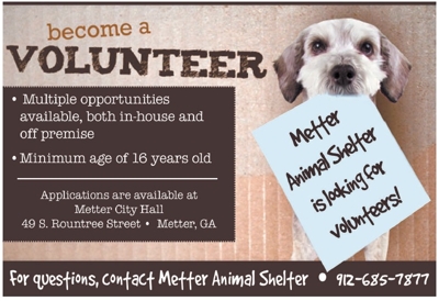 Animal Shelter volunteer