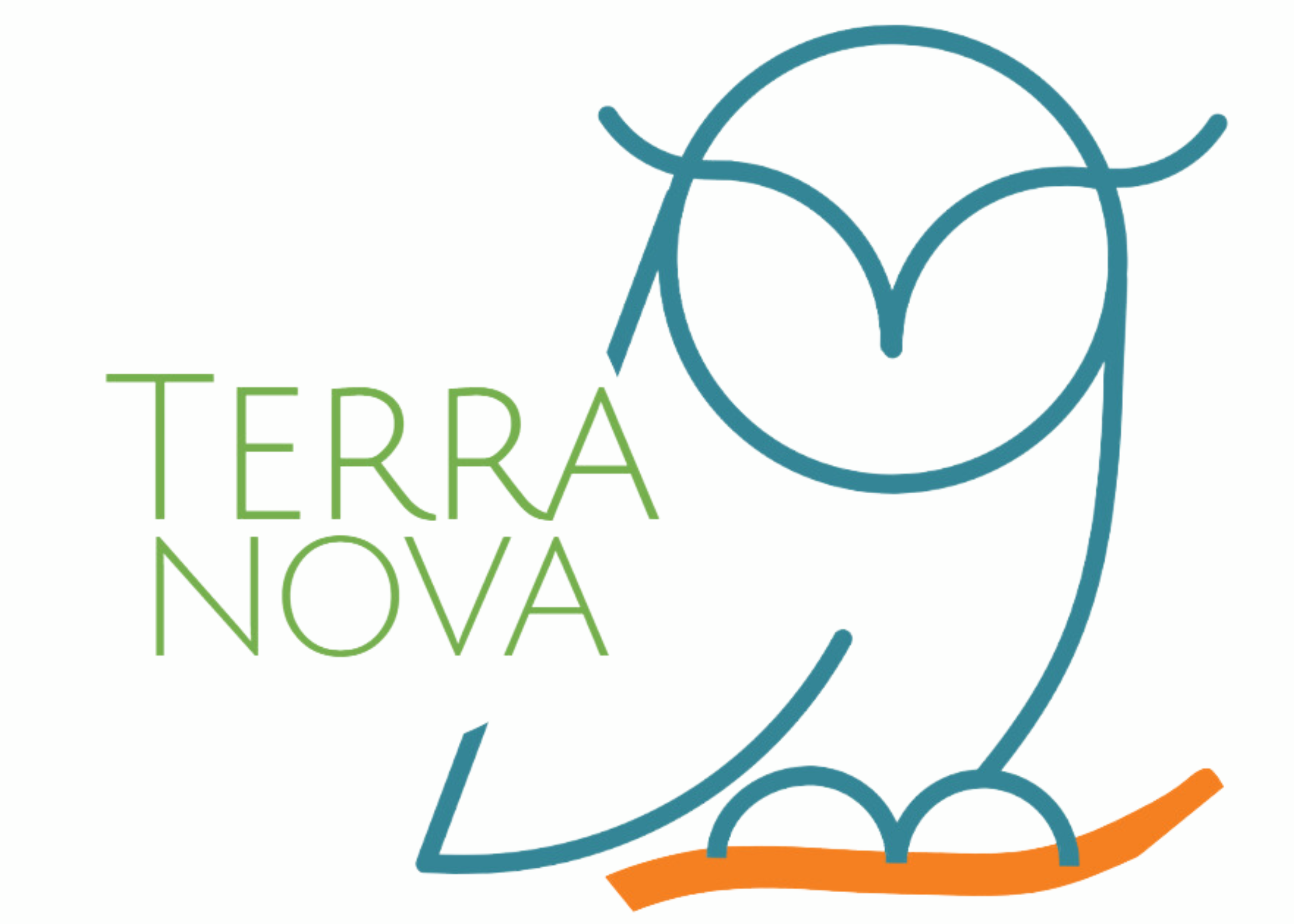 terra nova owl