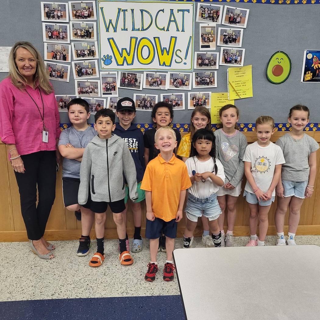 Wildcat WOW!