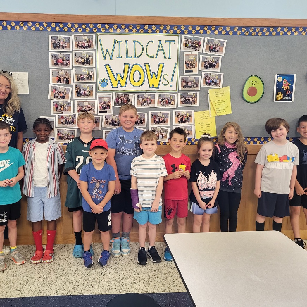 Wildcat WOW!