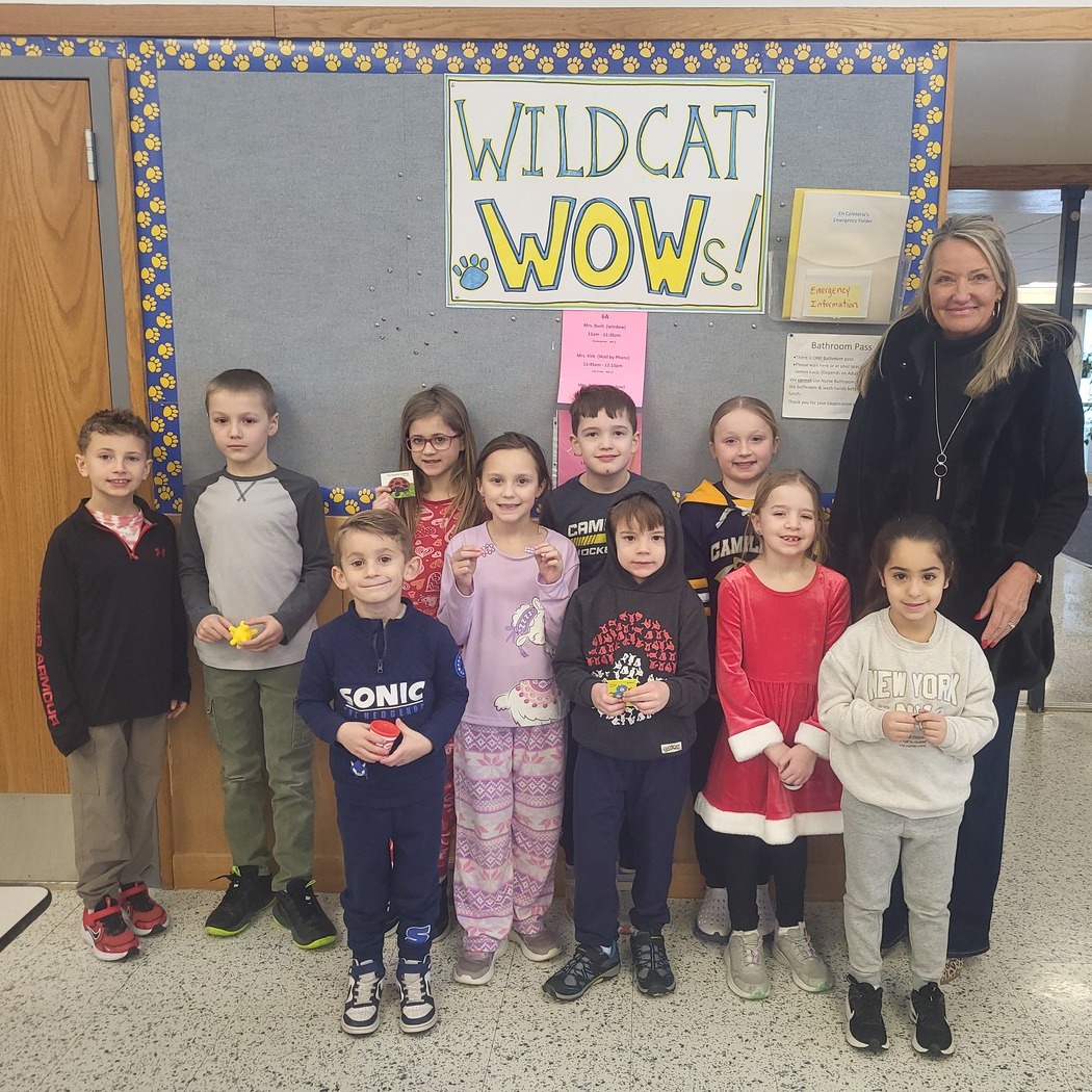 Wildcat WOW!