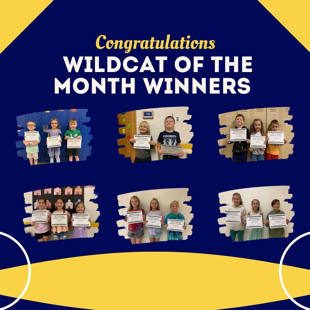 Wildcat of the Month