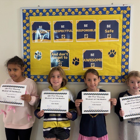 Wildcats of the Month