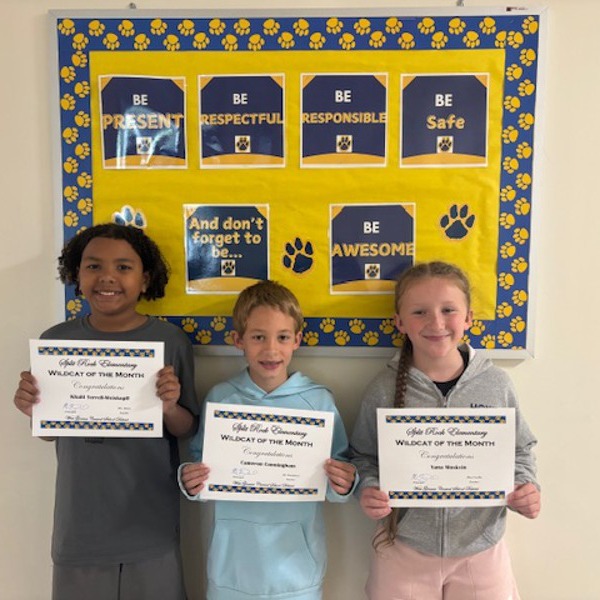 Wildcats of the Month