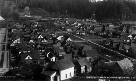 black and white picture of houses
