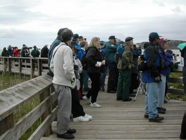 Man standing at the shorebird Festival