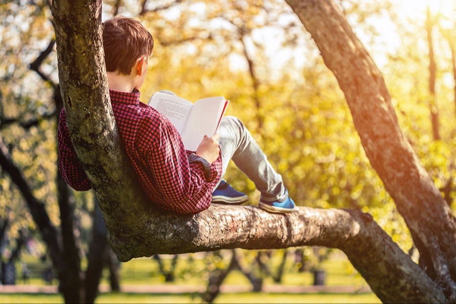 Boy reading while lying on a large tree branch