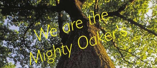 Oak tree "We are the Mighty Oakers"