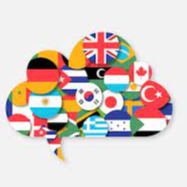 various country flags in shape of a speech bubble