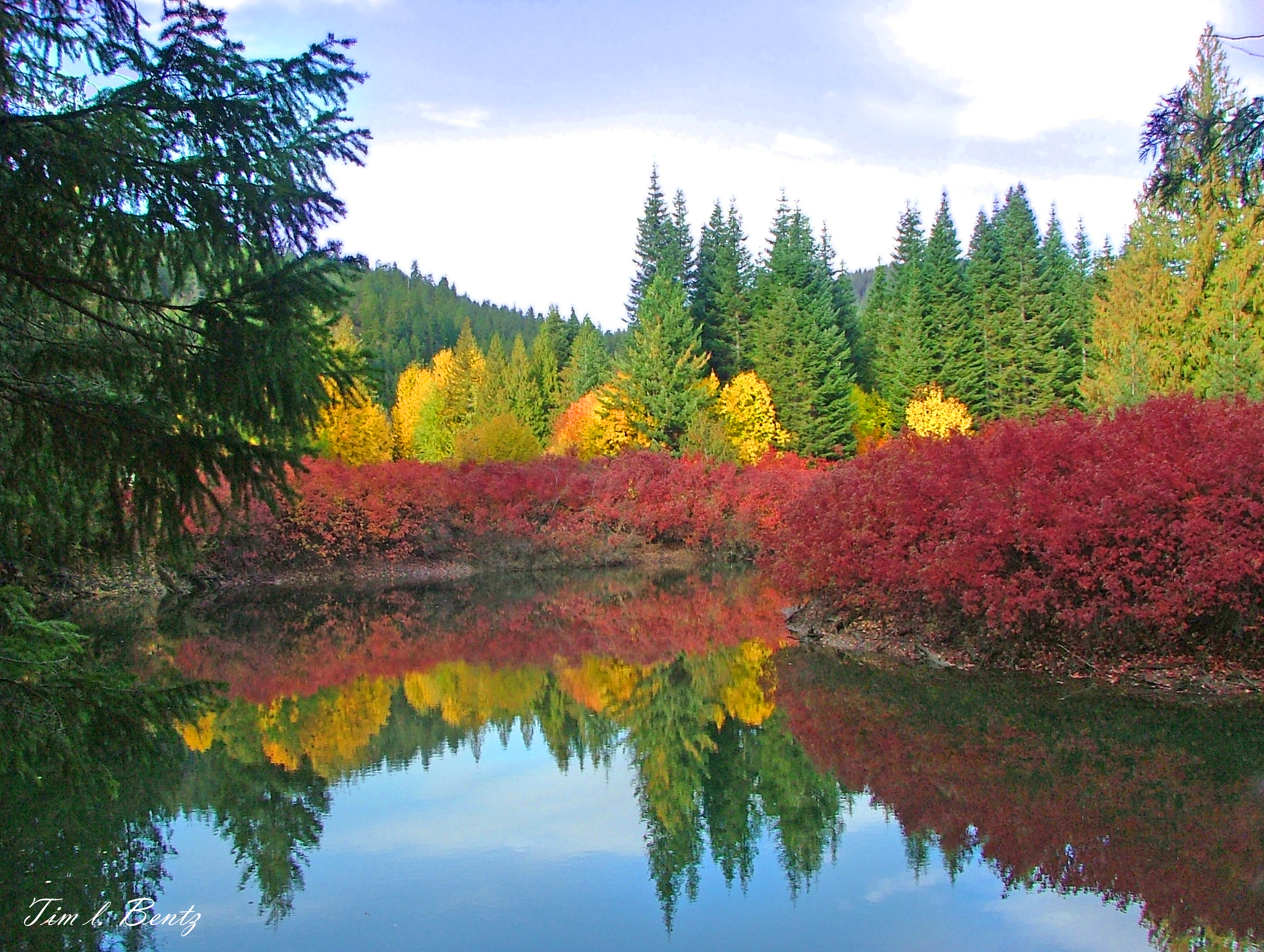 Fall