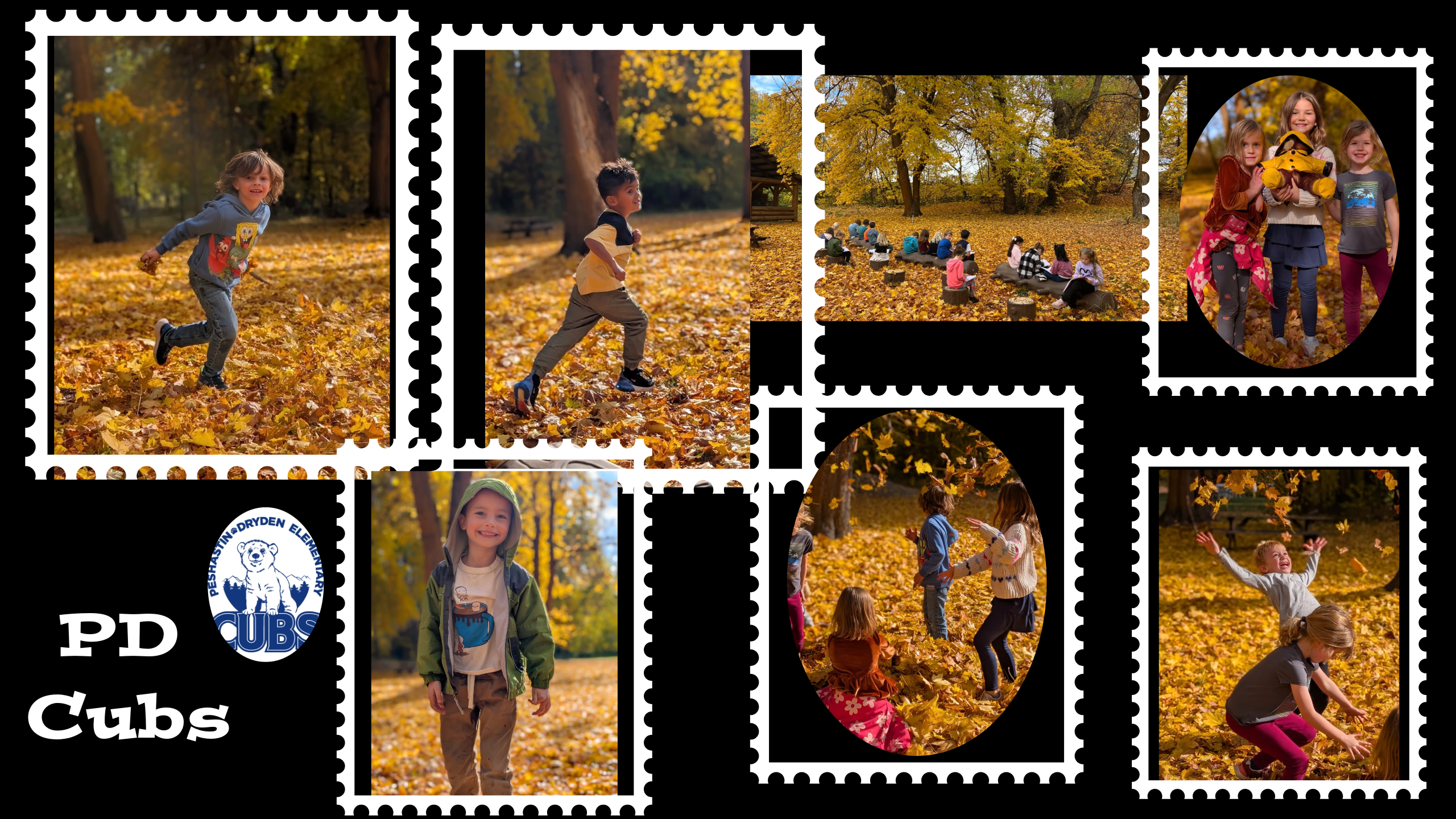Fall at PD in the outdoor learning area!