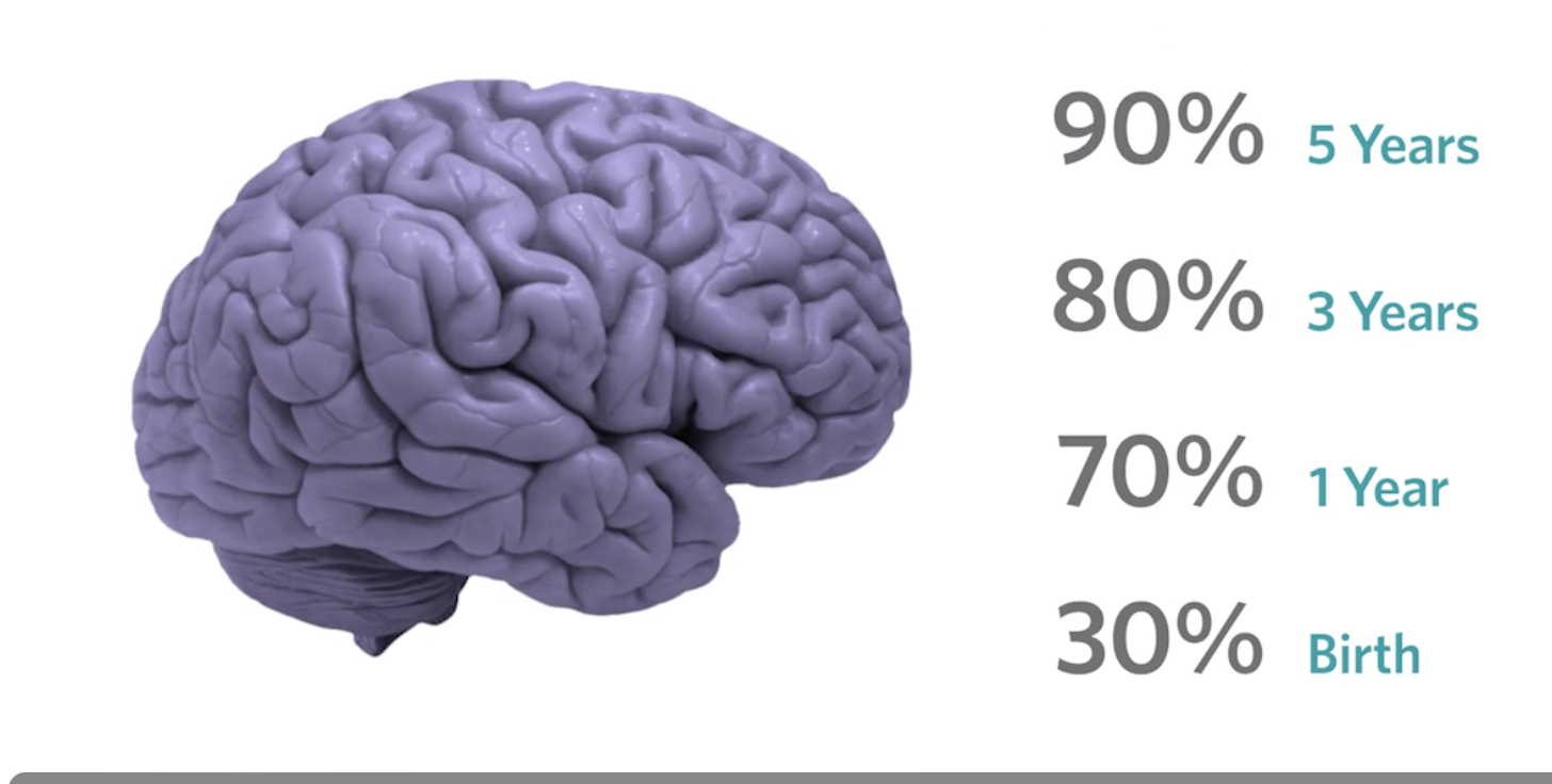 Brain graphic