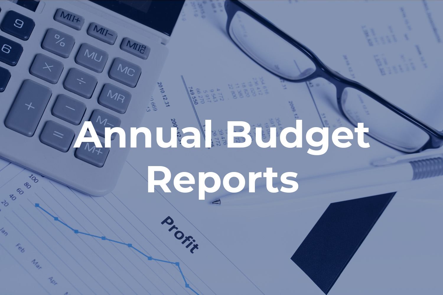 annual budget reports