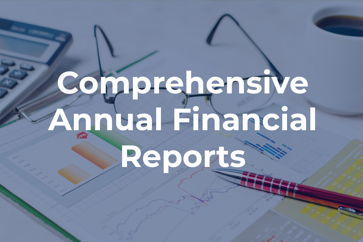 comprehensive annual financial reports