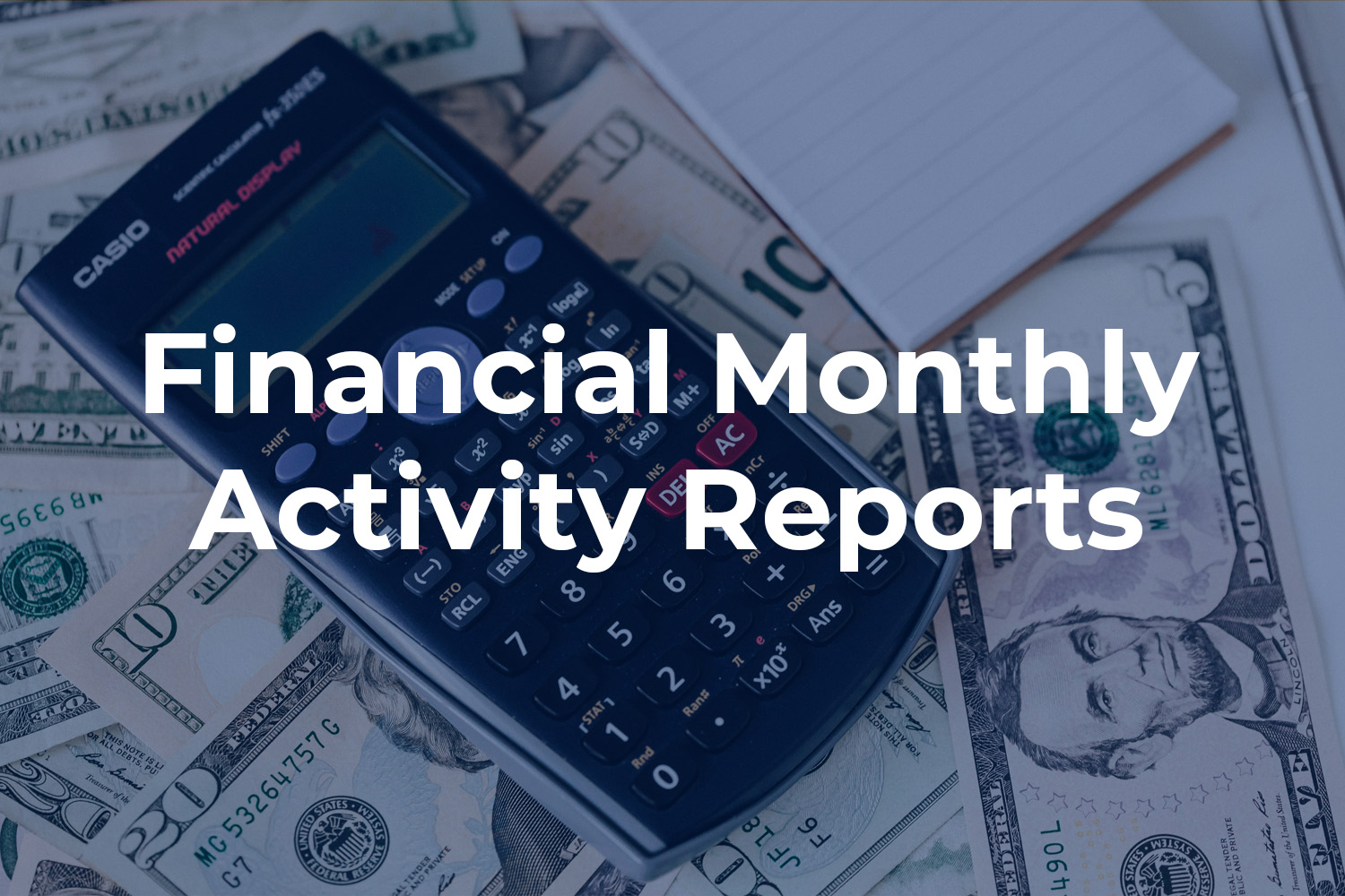 financial monthly activity report