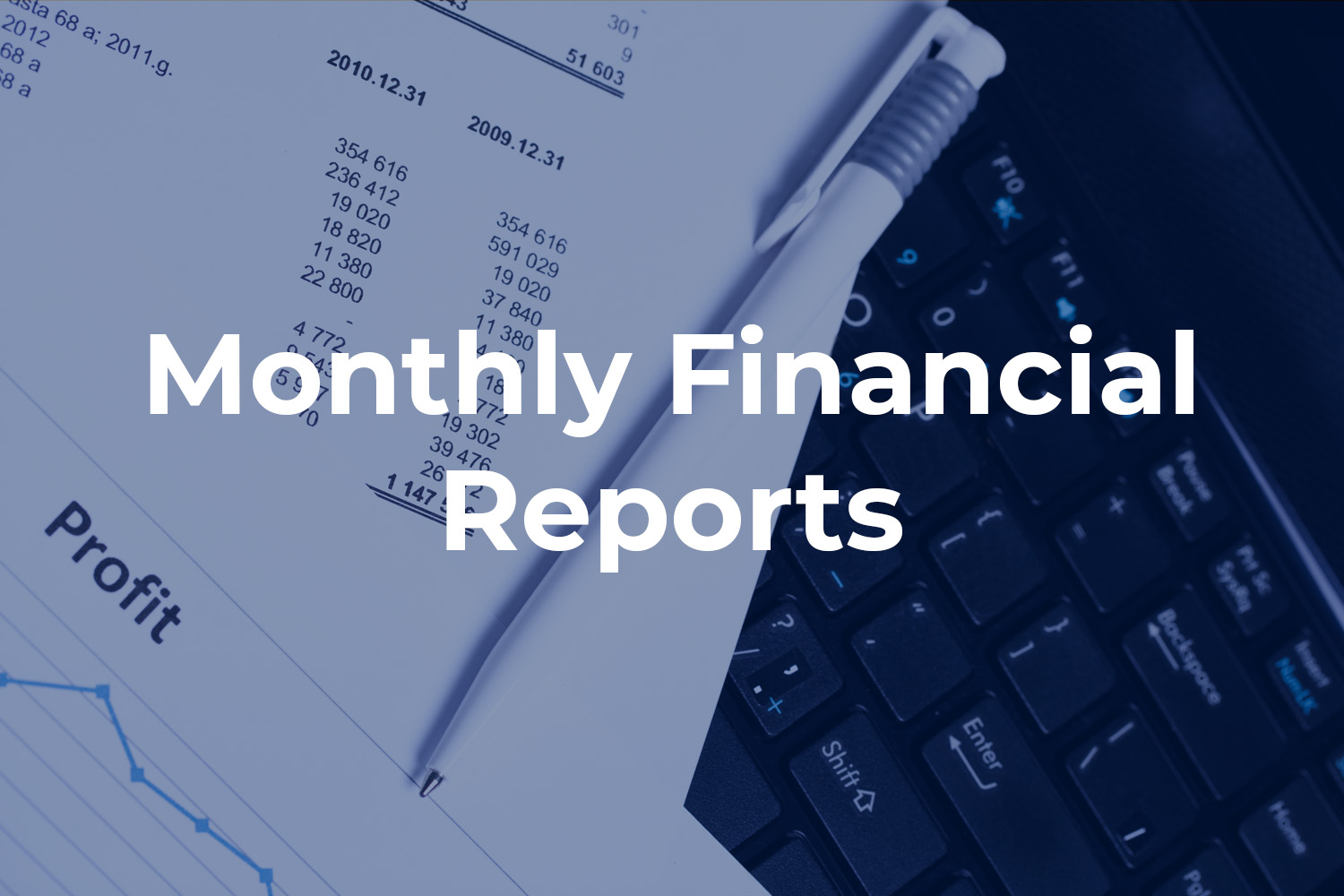 monthly financial reports