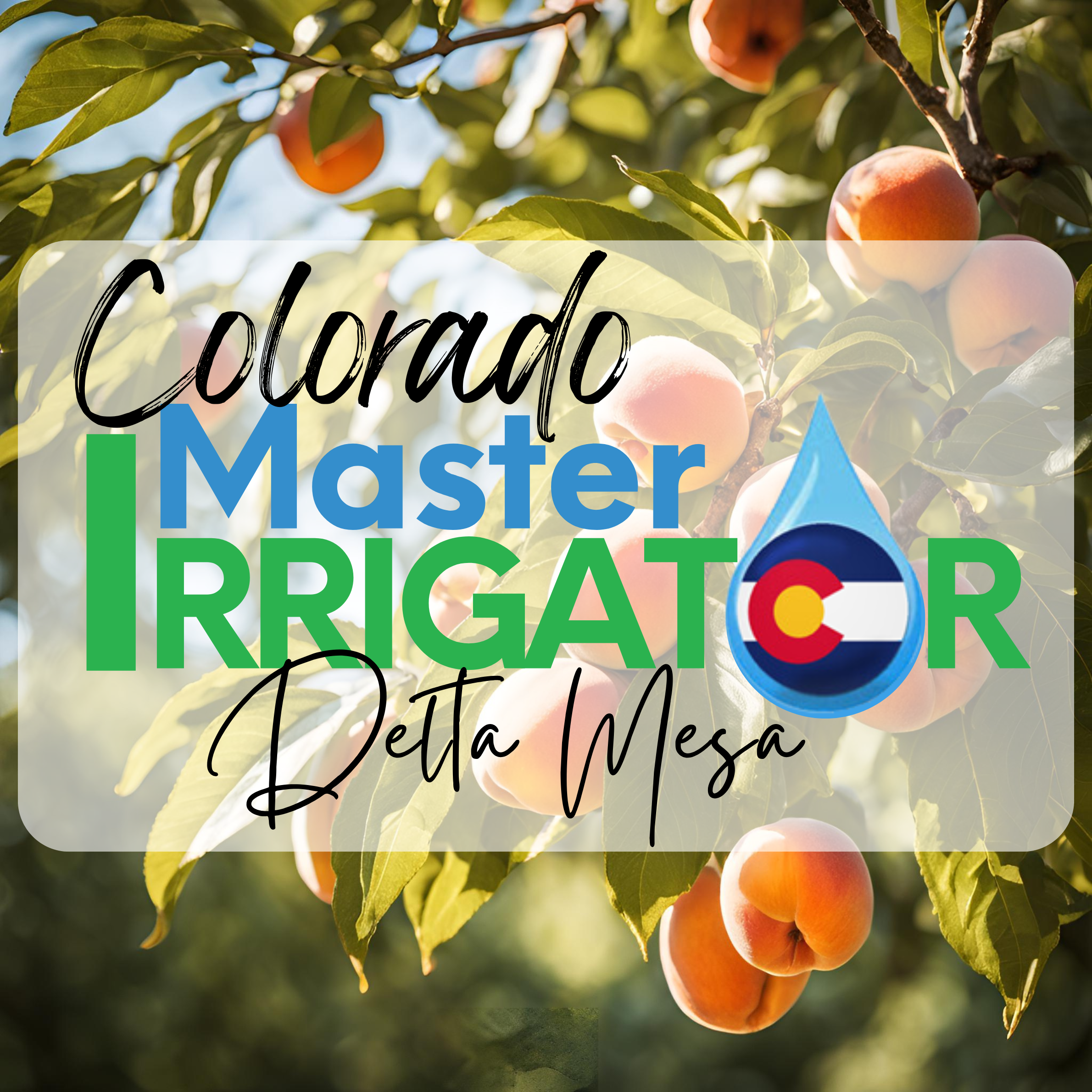 Colorado Master Irrigator Delta Mesa