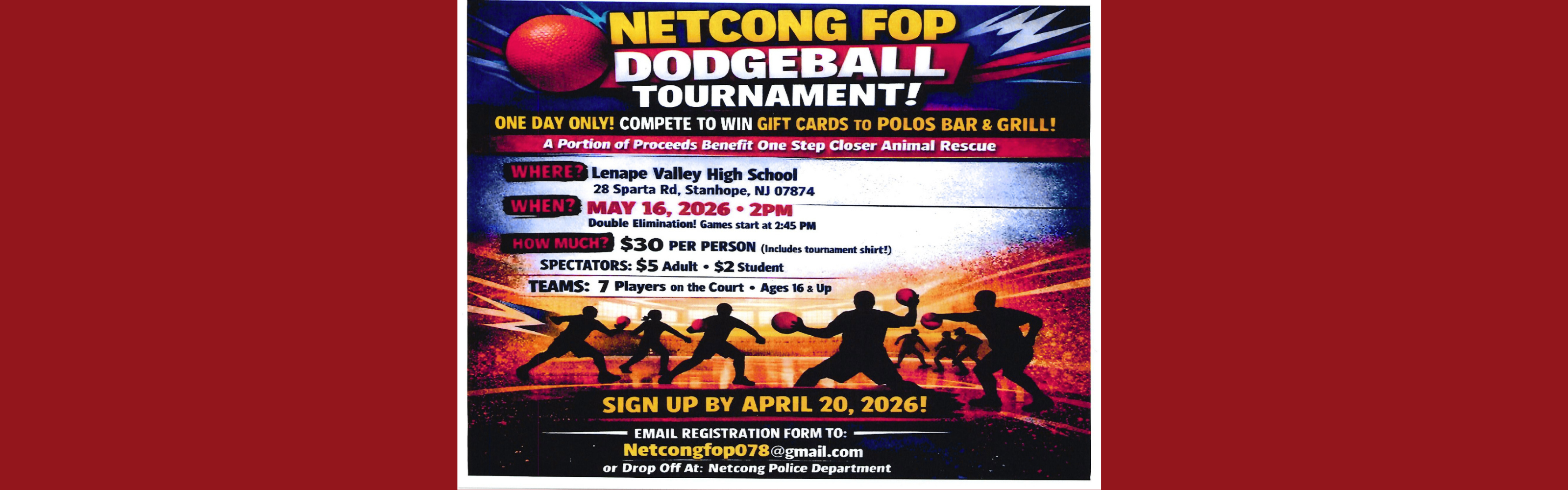 dodgeball tournament