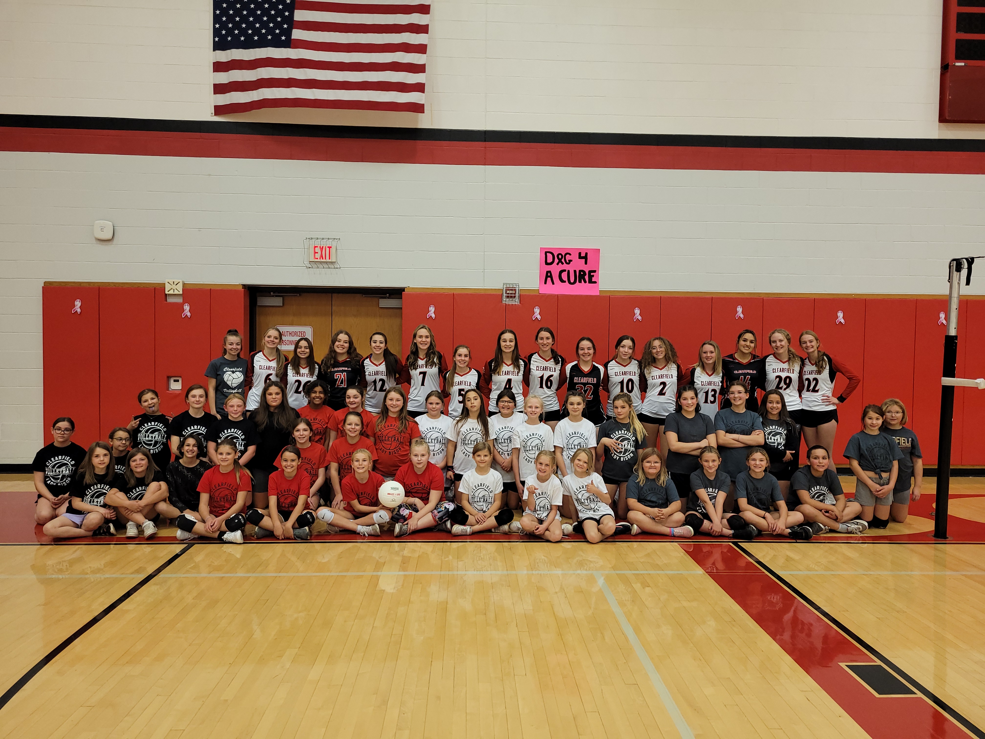 Clearfield Area Elementary | Home