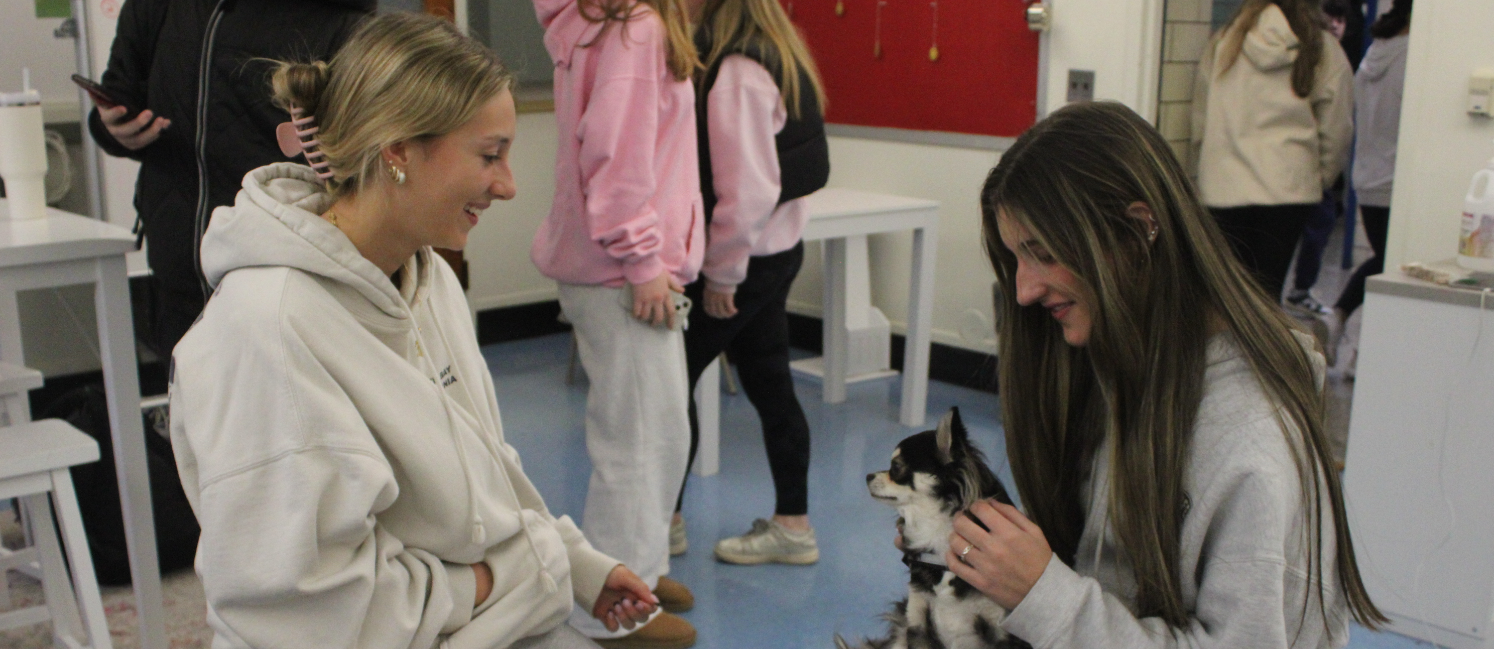 Therapy Dog Visit