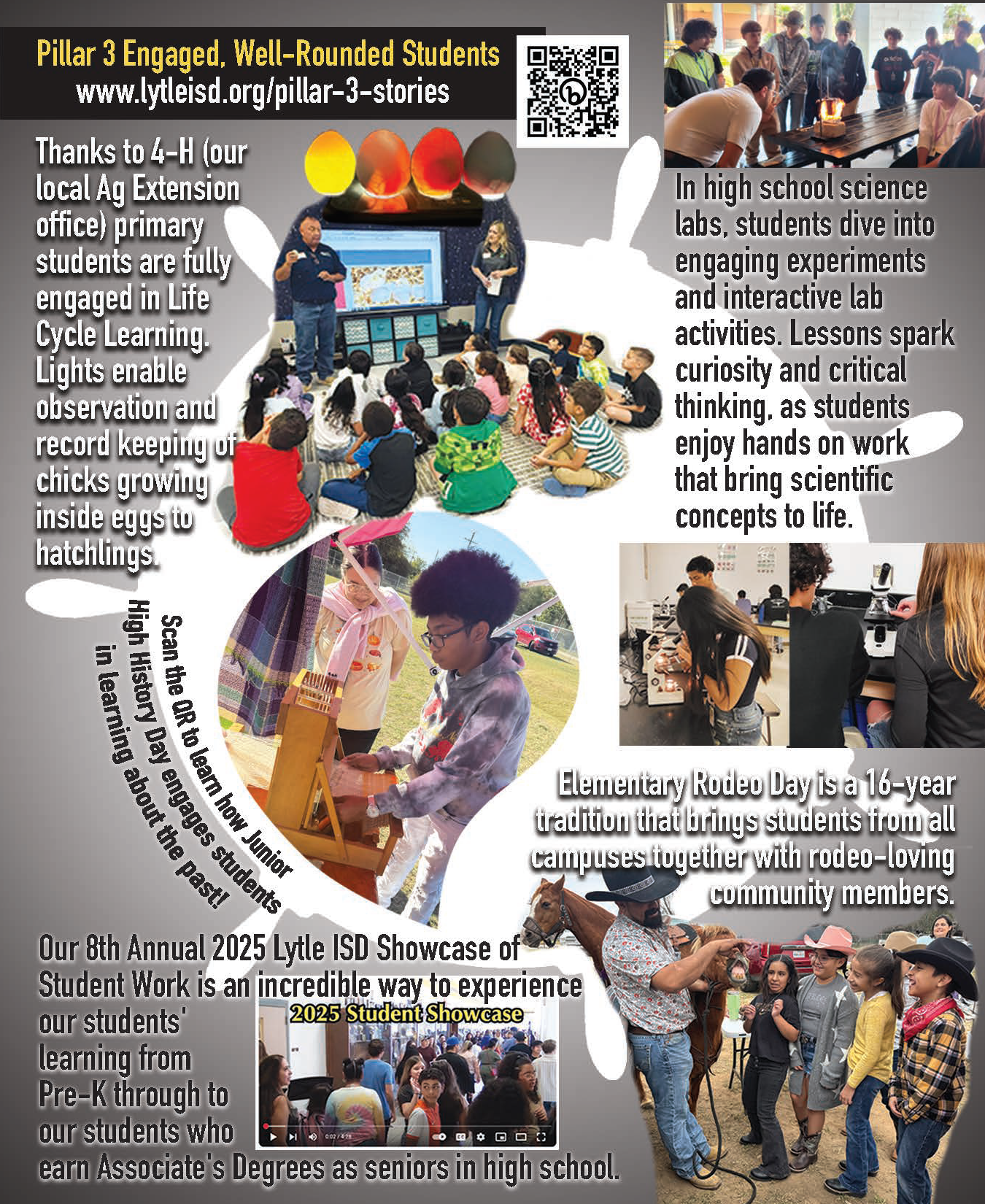 Pillar 3 Engaged, Well-Rounded Students C-BAS Pillar Report Page