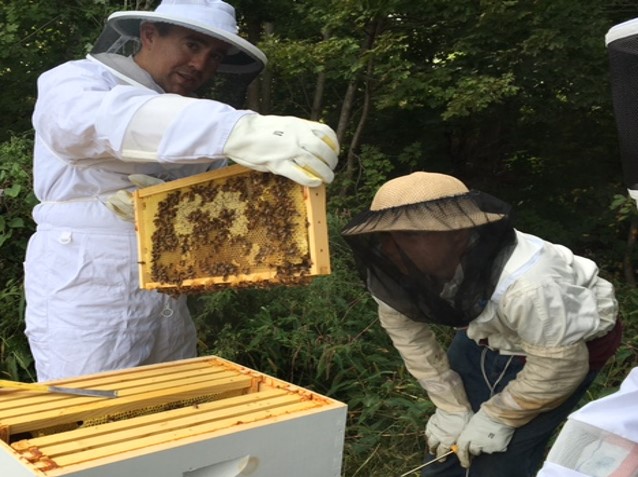 Beekeeping