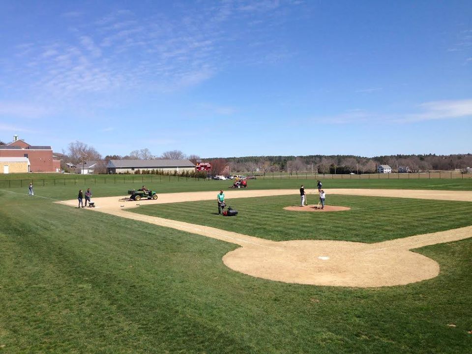 turf management