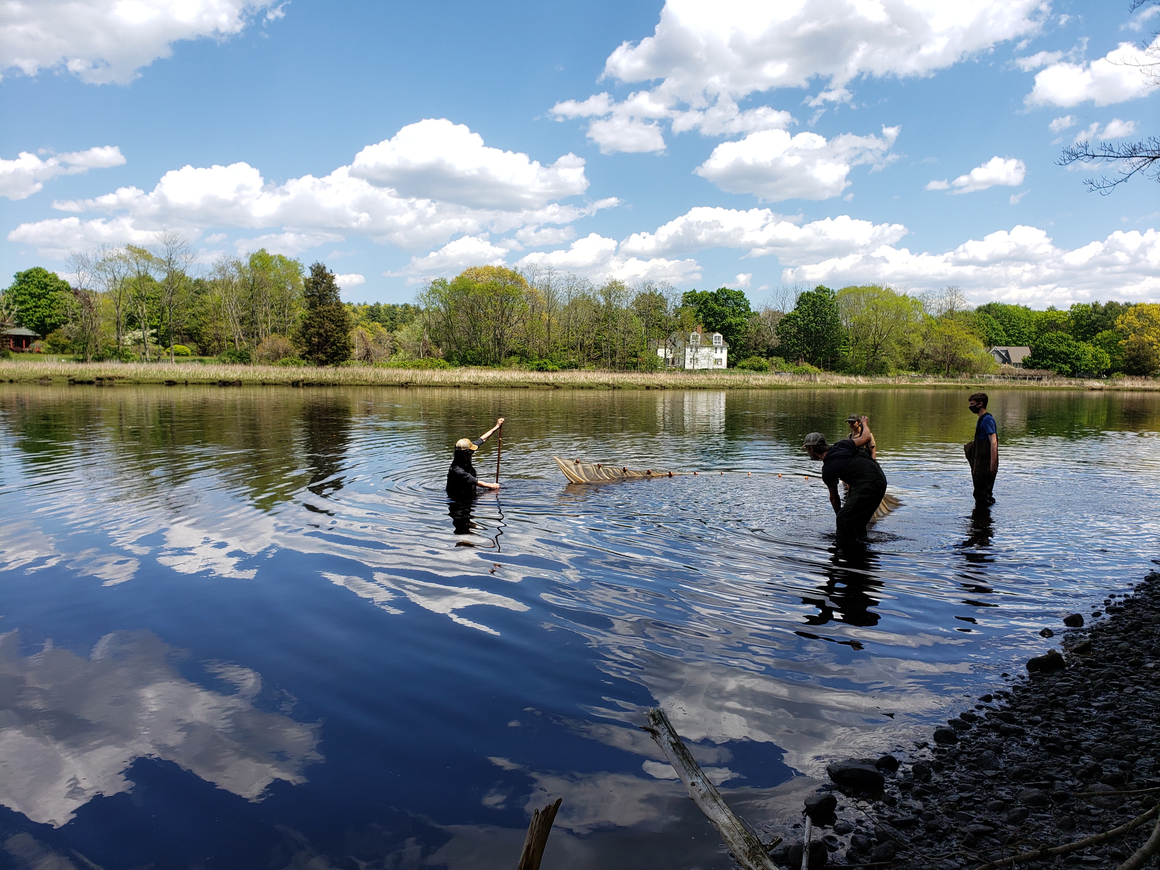 seining