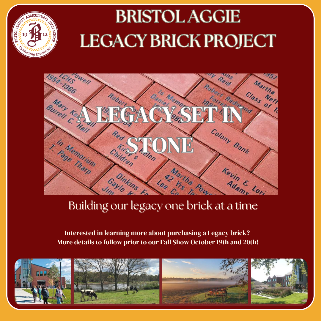 Brick Project