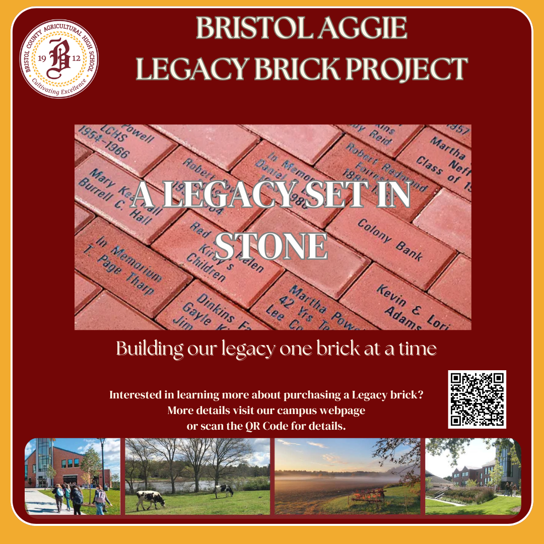 Brick Legacy