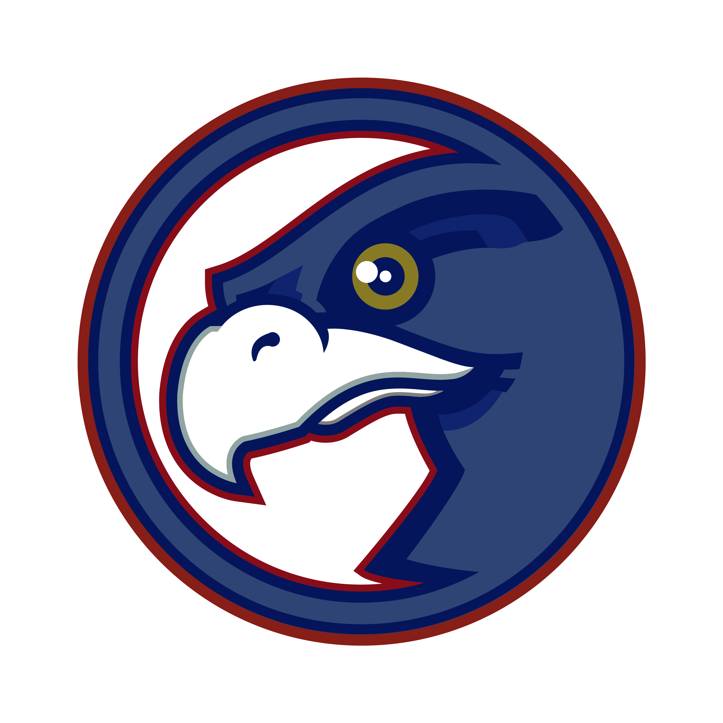 Freedom Hawks school logo