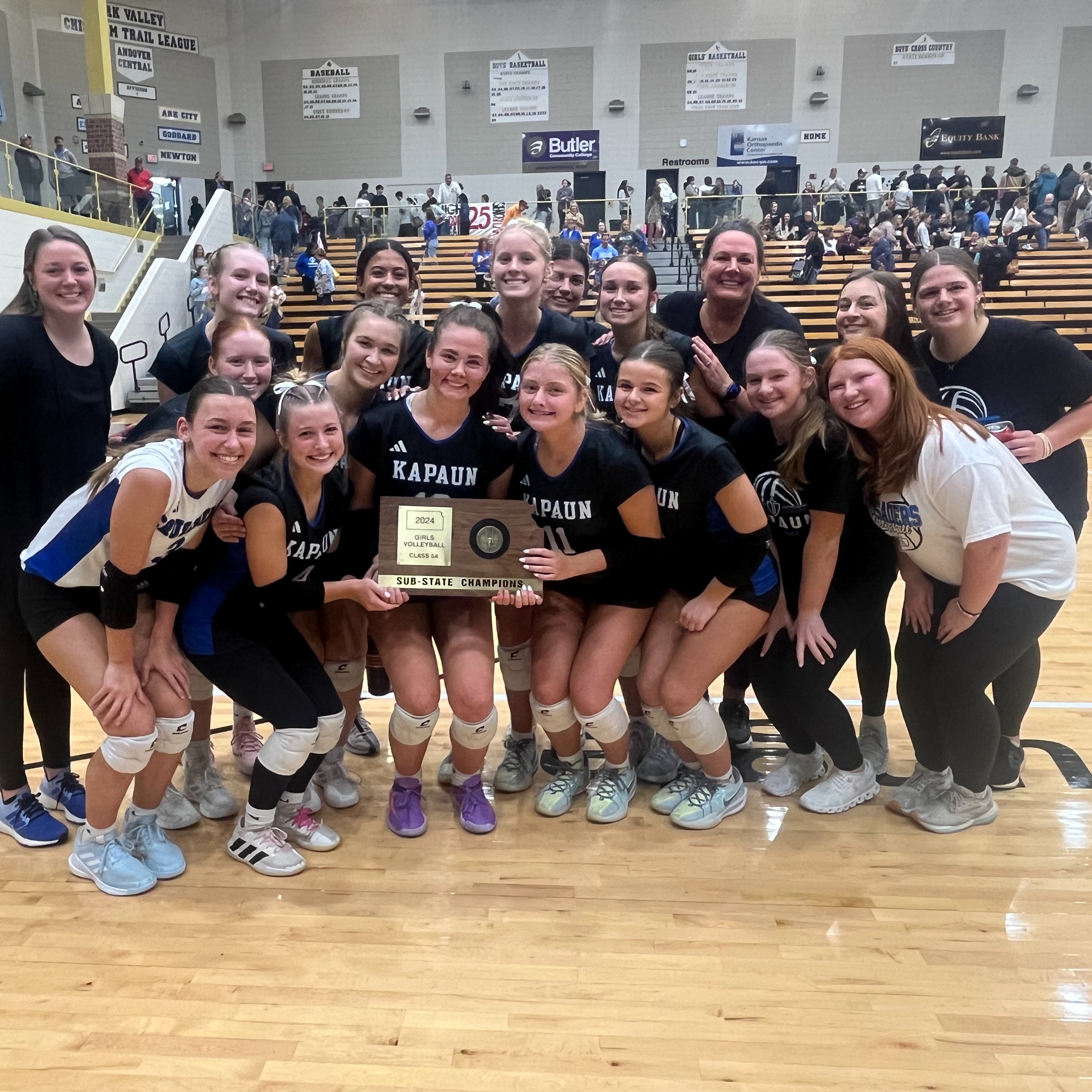 Sub-state champs