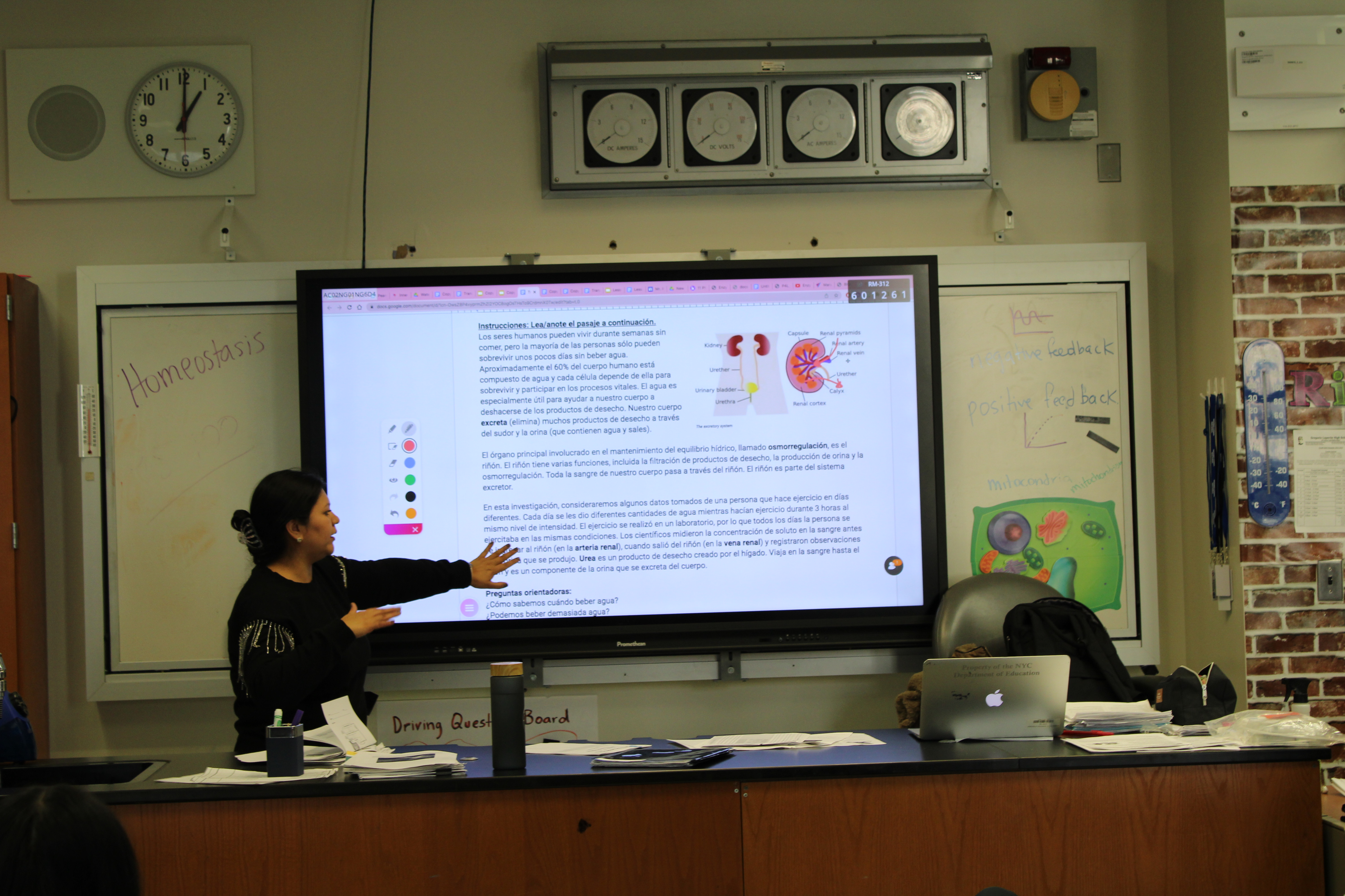 Teacher showing a biology lesson