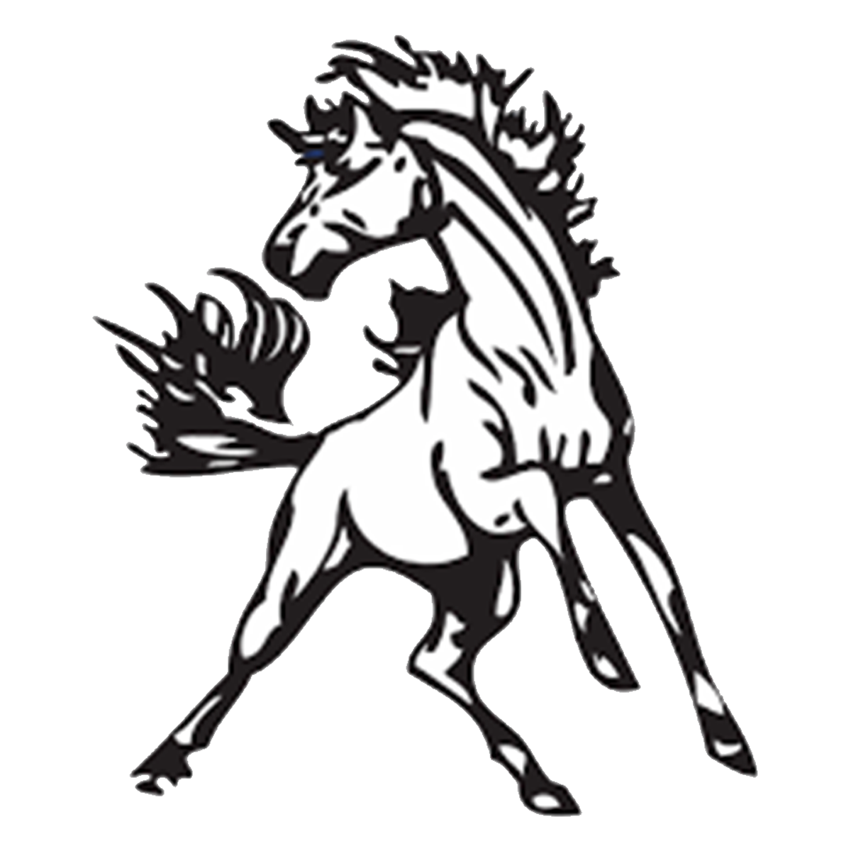 Home Manila High School