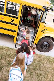 bus